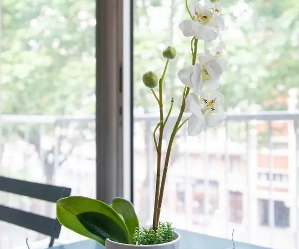 L'alcove Saint Georges ★ Au Coeur De * トゥールーズ