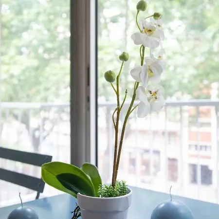 L'alcove Saint Georges ★ Au Coeur De * Tuluza